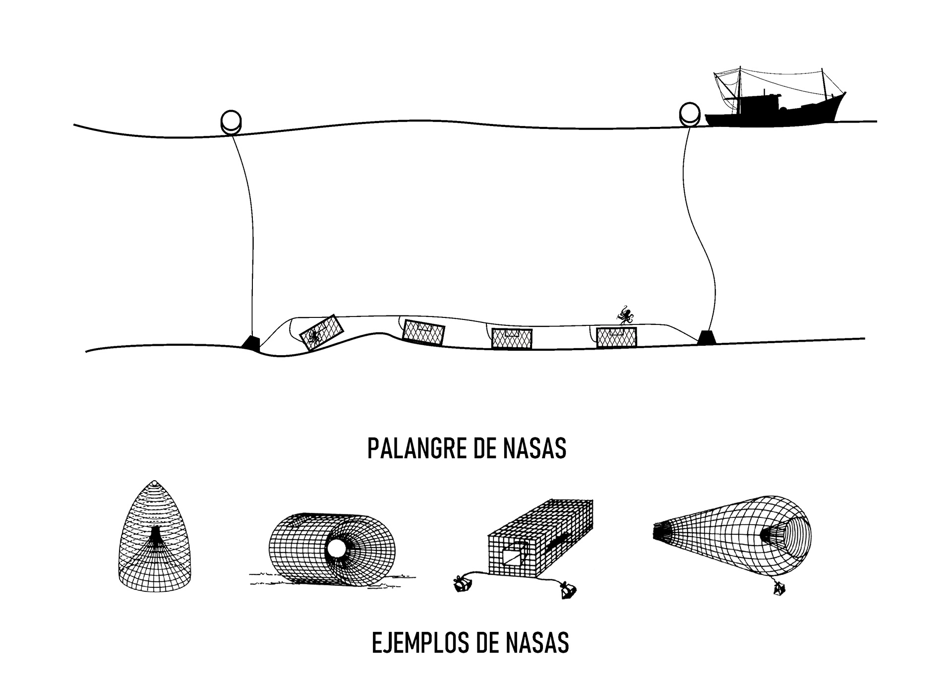 La pesca. ¿Arte o desastre? - Artes de pesca - Trasmallo - Región de Murcia  Digital